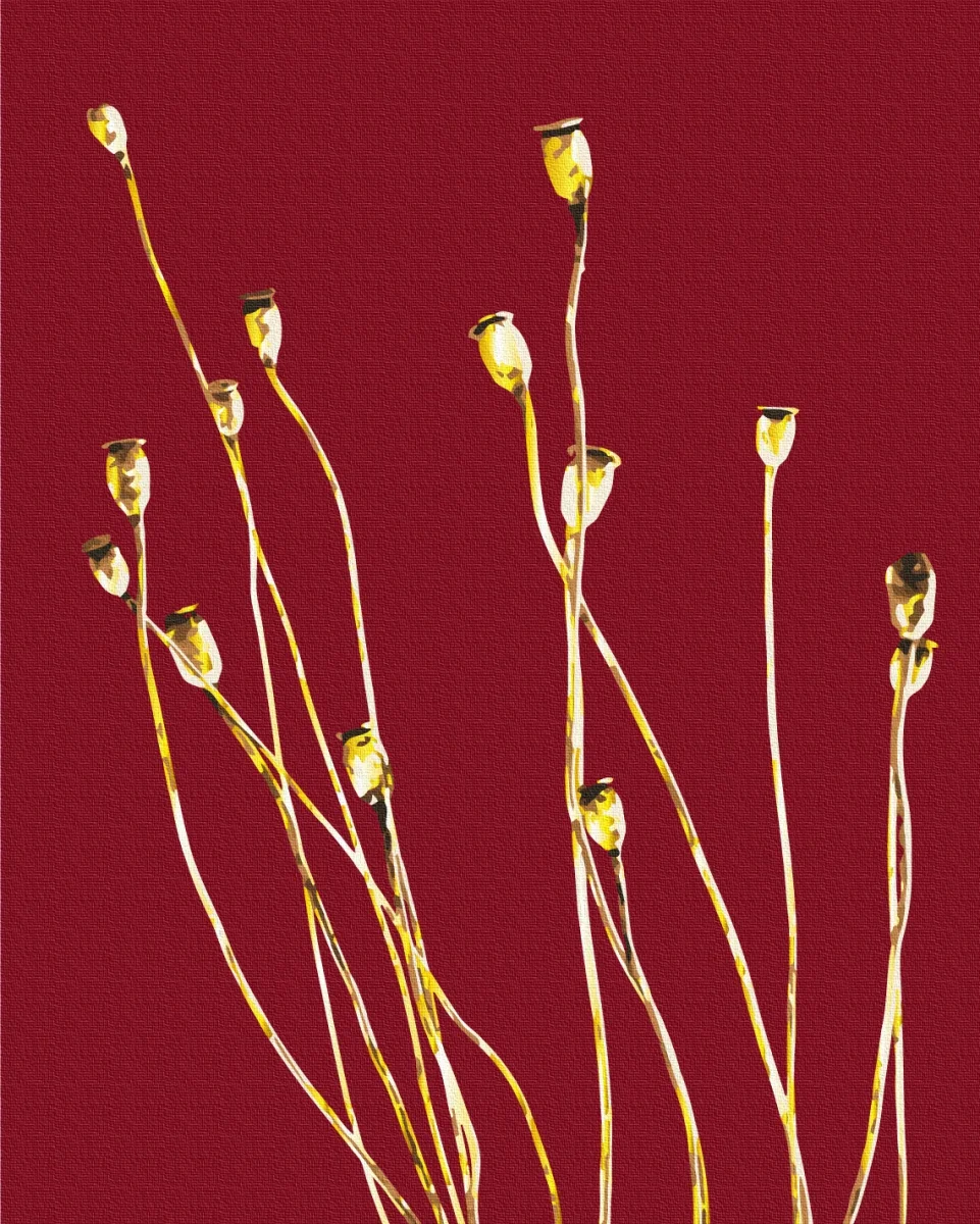 Paint by numbers Golden field poppies © Halyna Vitiuk - Image 2