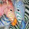 Paint by numbers Striped zebras